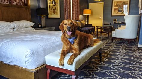 Pet friendly hotels salt lake city  An outdoor pool and a spa tub are on site